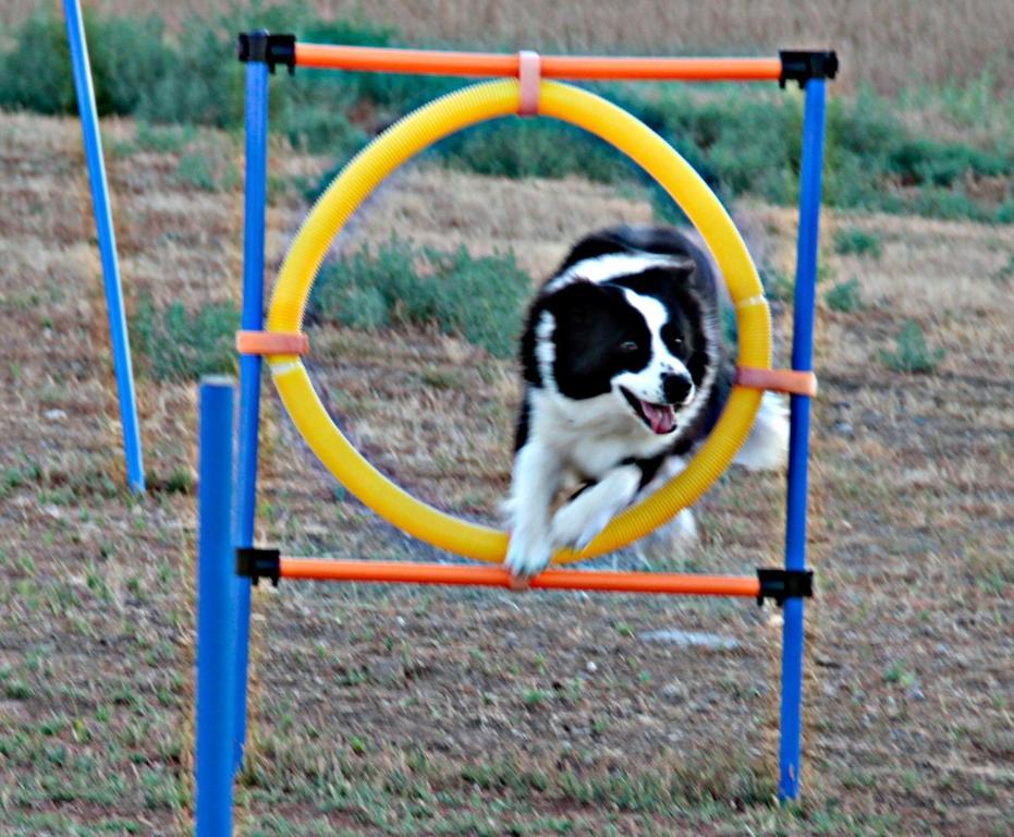 Il Poderino